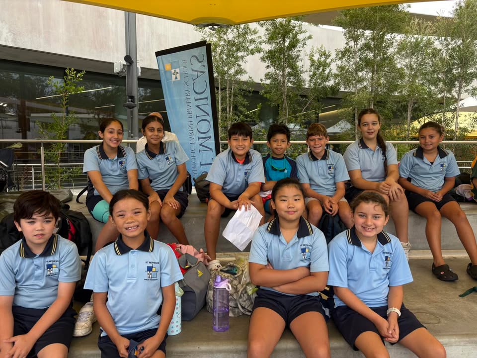 545801974214869_1523239713137752-1